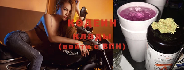 крисы Коряжма