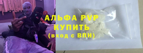 крисы Коряжма