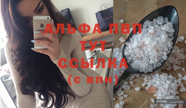 крисы Коряжма