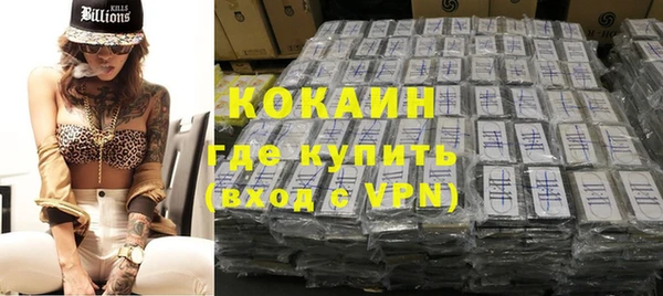 крисы Коряжма