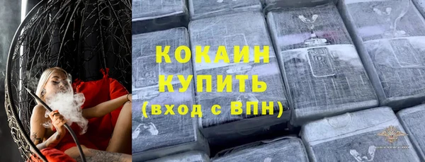 крисы Коряжма