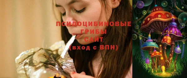 стаф Костерёво