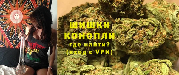 крисы Коряжма