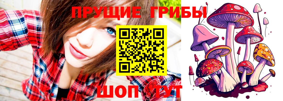 Псилоцибиновые грибы MAGIC MUSHROOMS Петропавловск-Камчатский