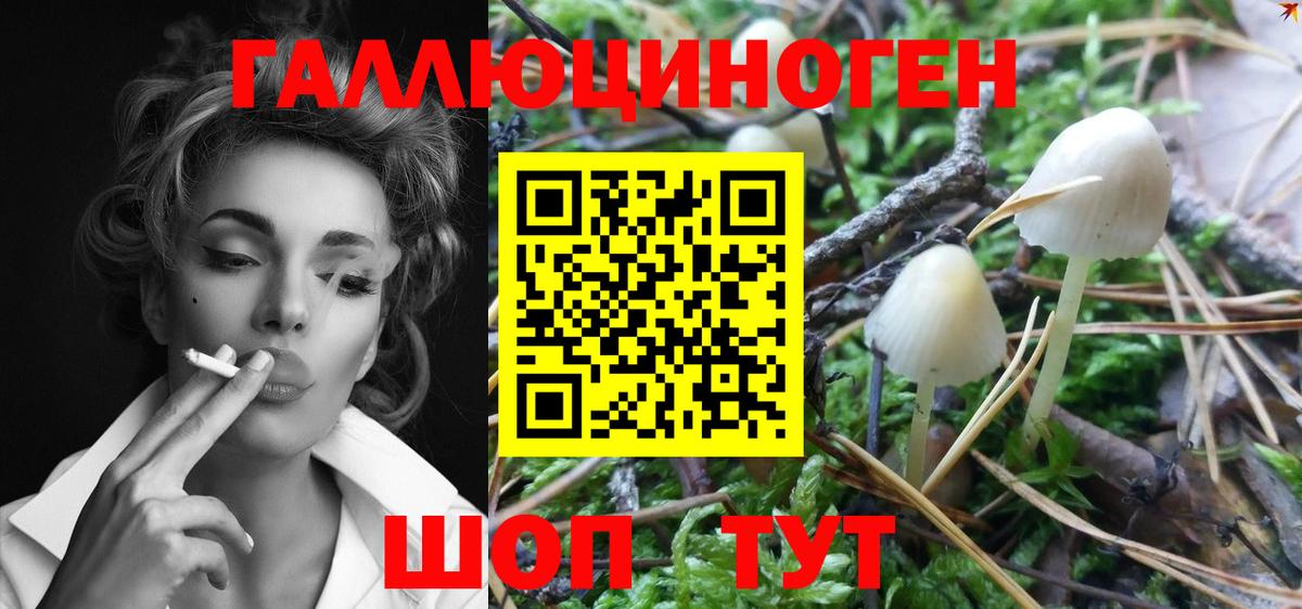 Псилоцибиновые грибы Magic Shrooms  Псилоцибиновые грибы мицелий  Петропавловск-Камчатский 