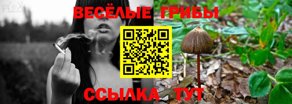 АМФЕТАМИН Петропавловск-Камчатский