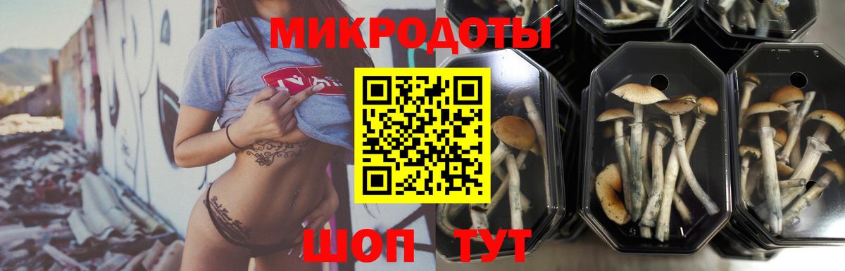Галлюциногенные грибы Cubensis  Вход с VPN  Петропавловск-Камчатский  Галлюциногенные грибы Magic Shrooms 