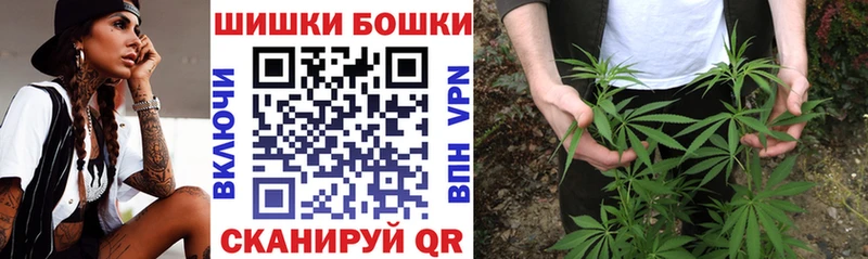 Бошки марихуана Amnesia  где можно купить наркотик  Петропавловск-Камчатский 